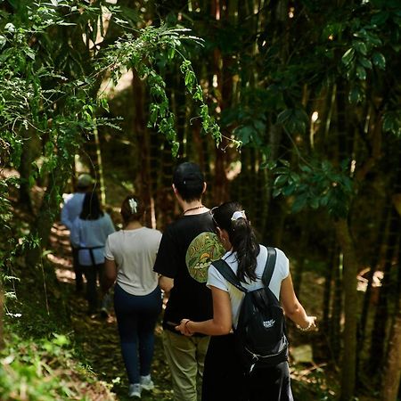 Fundo San Jose Parque Ecologico & Lodge Hotel Asociado Casa Andina 拉梅尔塞 外观 照片