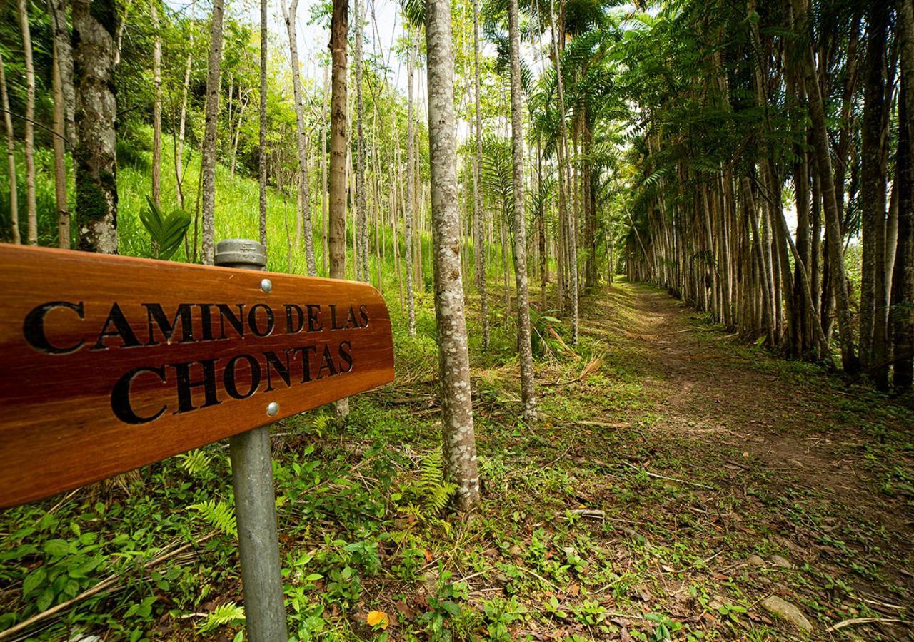Fundo San Jose Parque Ecologico & Lodge Hotel Asociado Casa Andina 拉梅尔塞 外观 照片