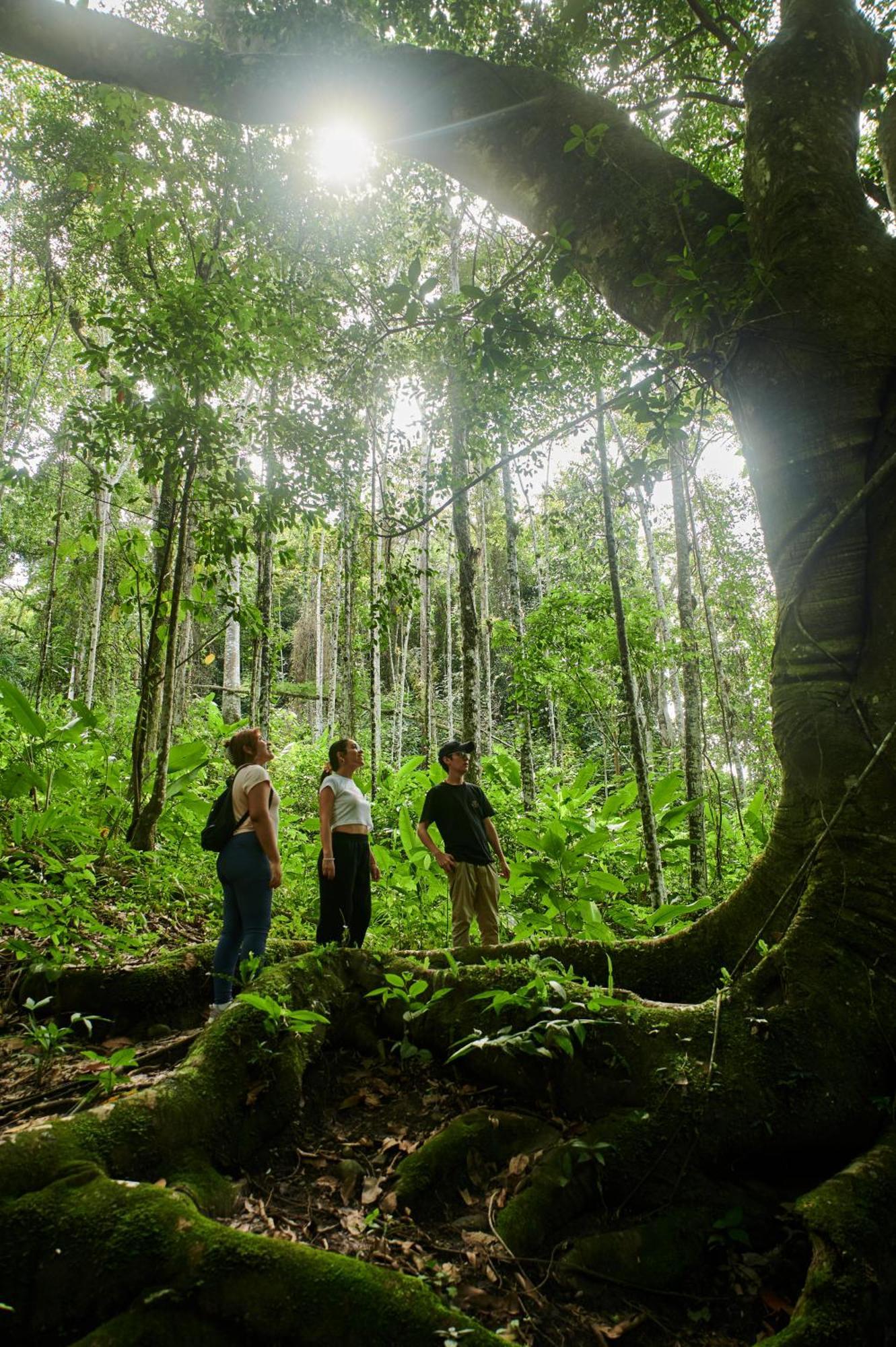 Fundo San Jose Parque Ecologico & Lodge Hotel Asociado Casa Andina 拉梅尔塞 外观 照片
