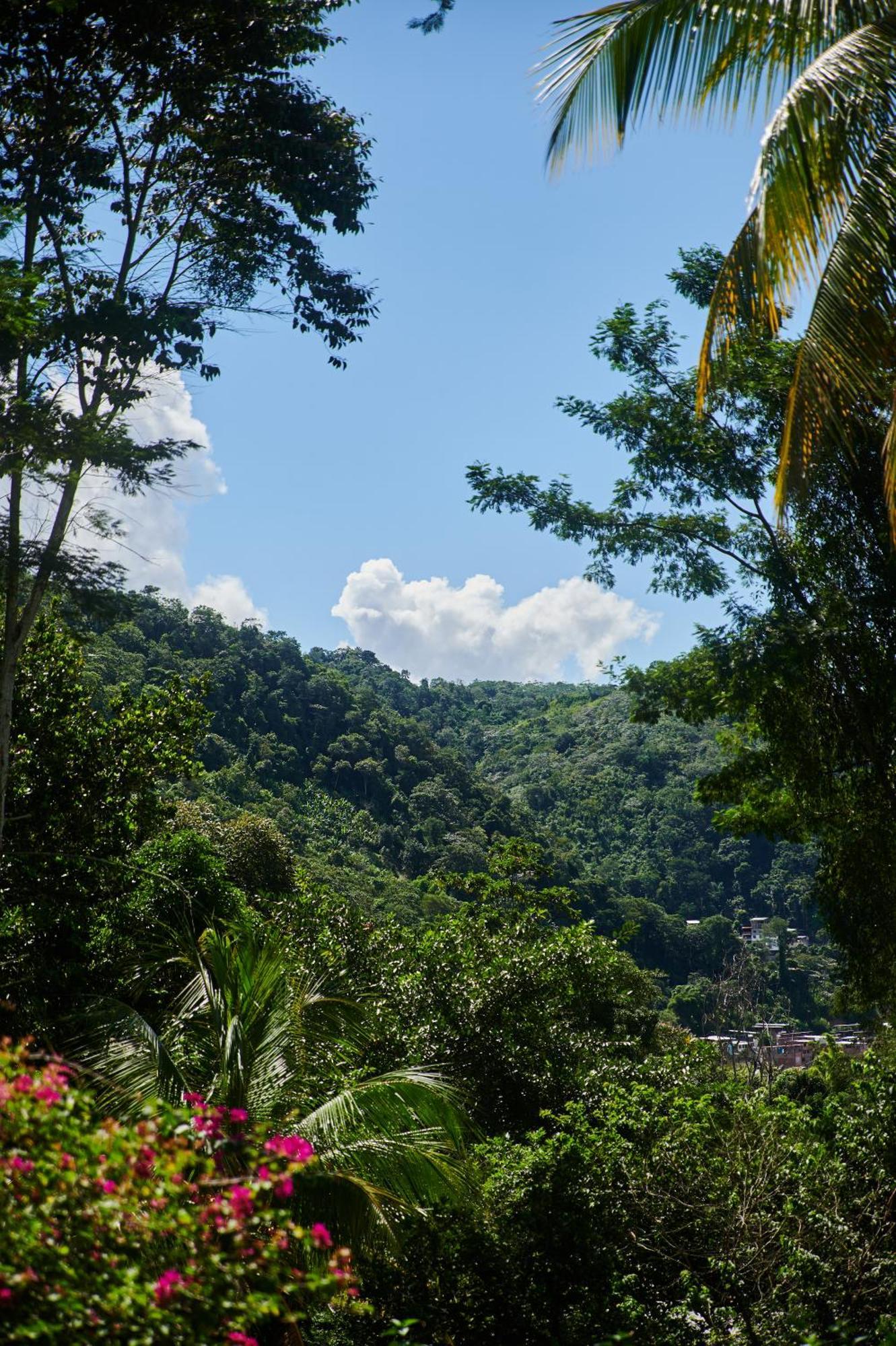 Fundo San Jose Parque Ecologico & Lodge Hotel Asociado Casa Andina 拉梅尔塞 外观 照片