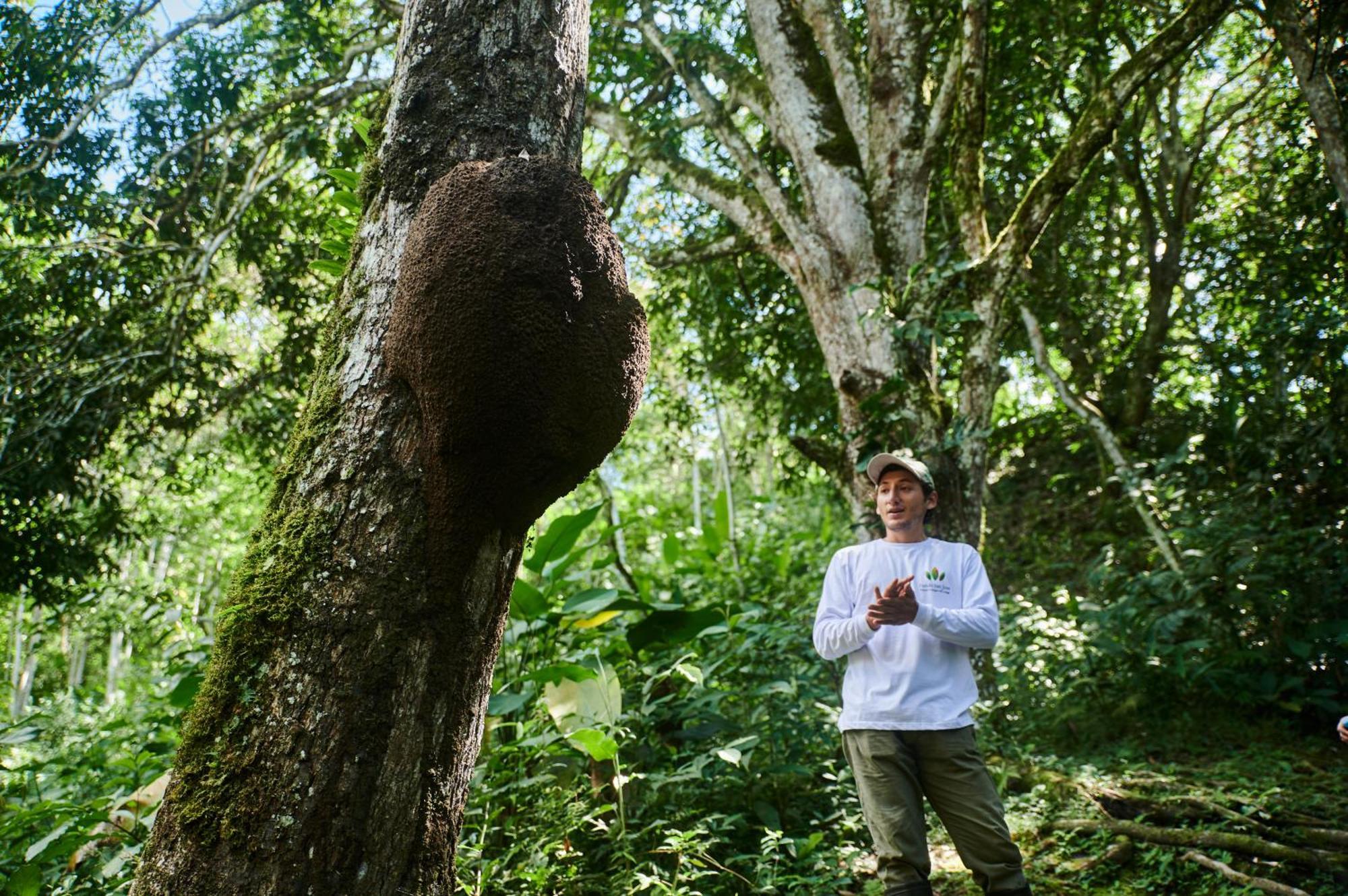 Fundo San Jose Parque Ecologico & Lodge Hotel Asociado Casa Andina 拉梅尔塞 外观 照片