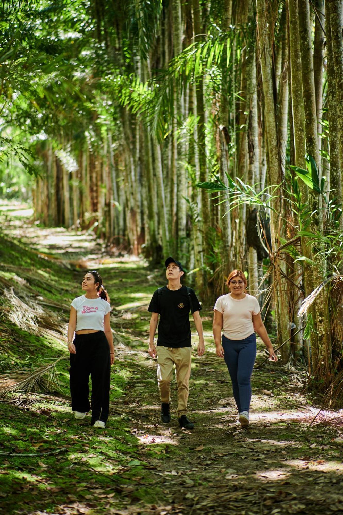 Fundo San Jose Parque Ecologico & Lodge Hotel Asociado Casa Andina 拉梅尔塞 外观 照片